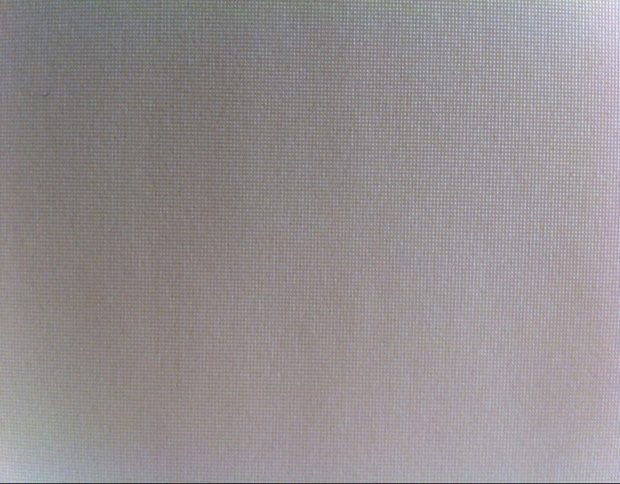 ·ֽ